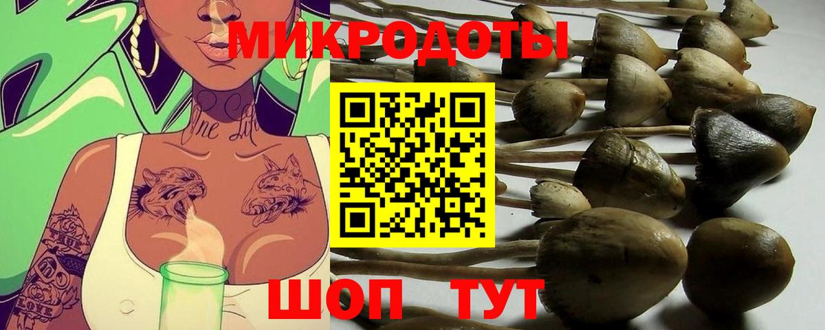 Галлюциногенные грибы GOLDEN TEACHER Белая Калитва